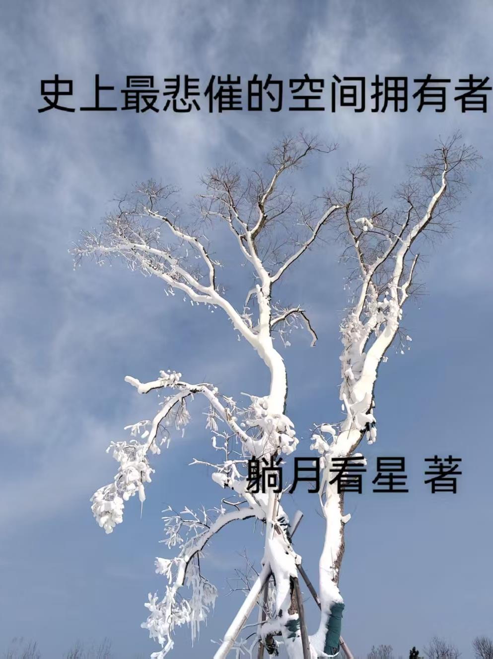 史上最悲催的空间拥有者