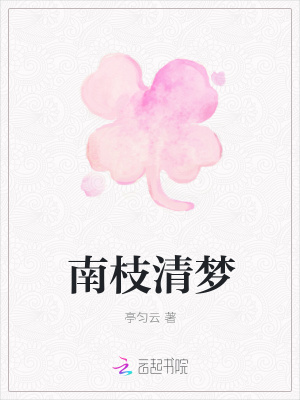 南枝清梦