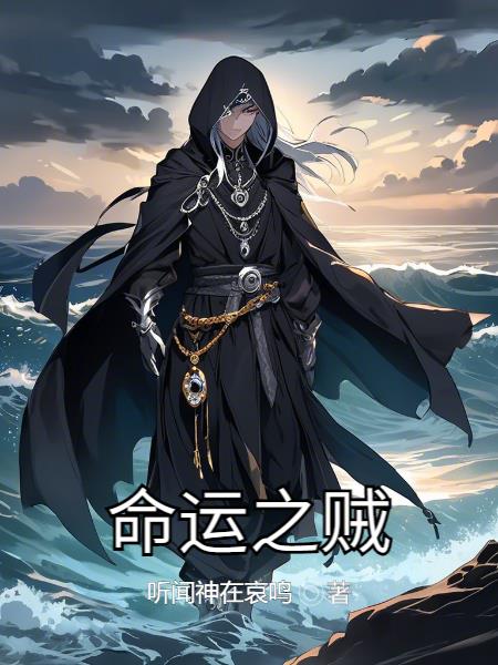 命运之贼
