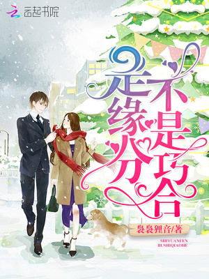 是缘分不是巧合